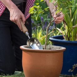 Front Page -Outdoor Garden Care 1002024 1