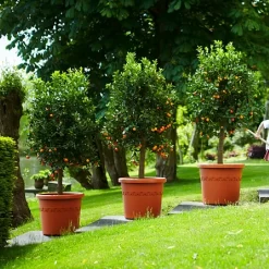 Elho Algarve Cilindro Wheels 40cm - Terracotta