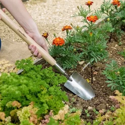 Front Page -Outdoor Garden Care 1031065 1