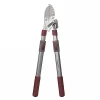 Kent & Stowe Telescopic Ratchet Anvil Loppers