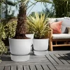 Elho Greenville Round Pot 40cm Living Concrete