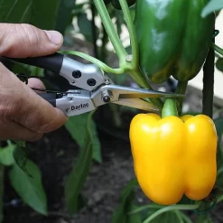 Darlac Compact Snips -Outdoor Garden Care 1202076 2