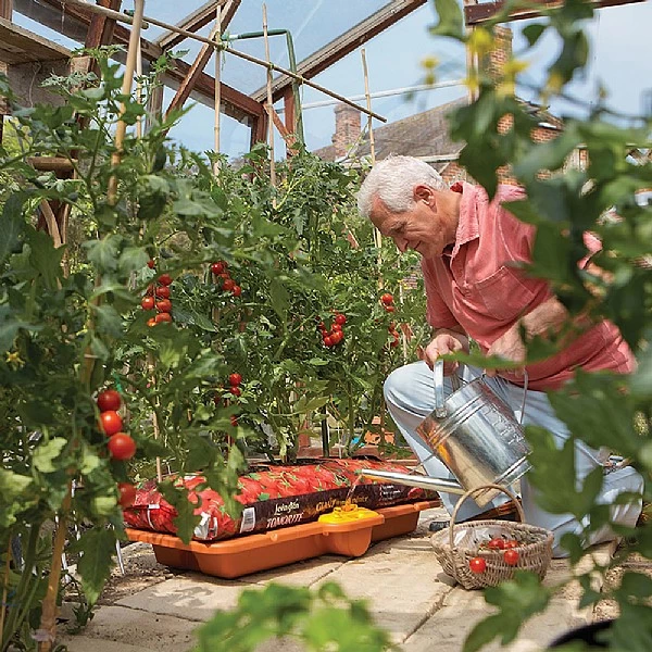 Hozelock Growbag Waterer 5 Hozelock Growbag Waterer - Image 5