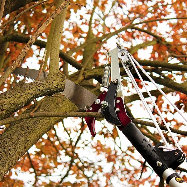 Kent & Stowe Telescopic Tree Lopper 2 Kent & Stowe Telescopic Tree Lopper - Image 2