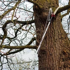 Kent & Stowe Telescopic Tree Lopper 5 Kent & Stowe Telescopic Tree Lopper -Outdoor Garden Care 910042 2