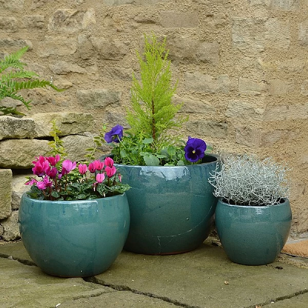 Woodlodge Meadow Pot 1 Woodlodge Meadow Pot